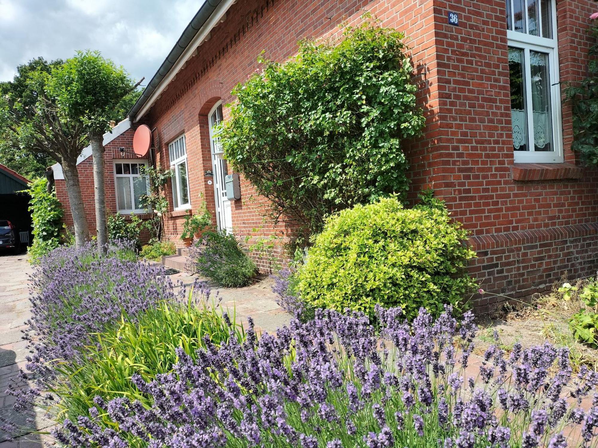 Ferienwohnung Heckmann, 95138 Rhauderfehn ภายนอก รูปภาพ